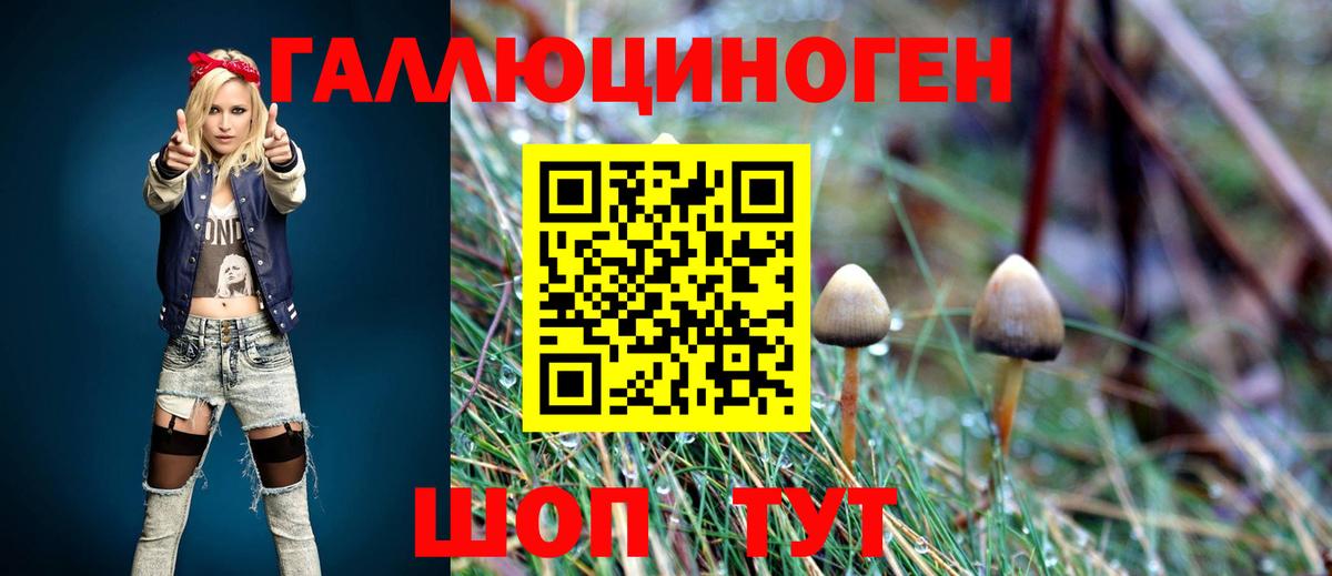 Удомля  Галлюциногенные грибы Magic Shrooms  Вход с VPN 