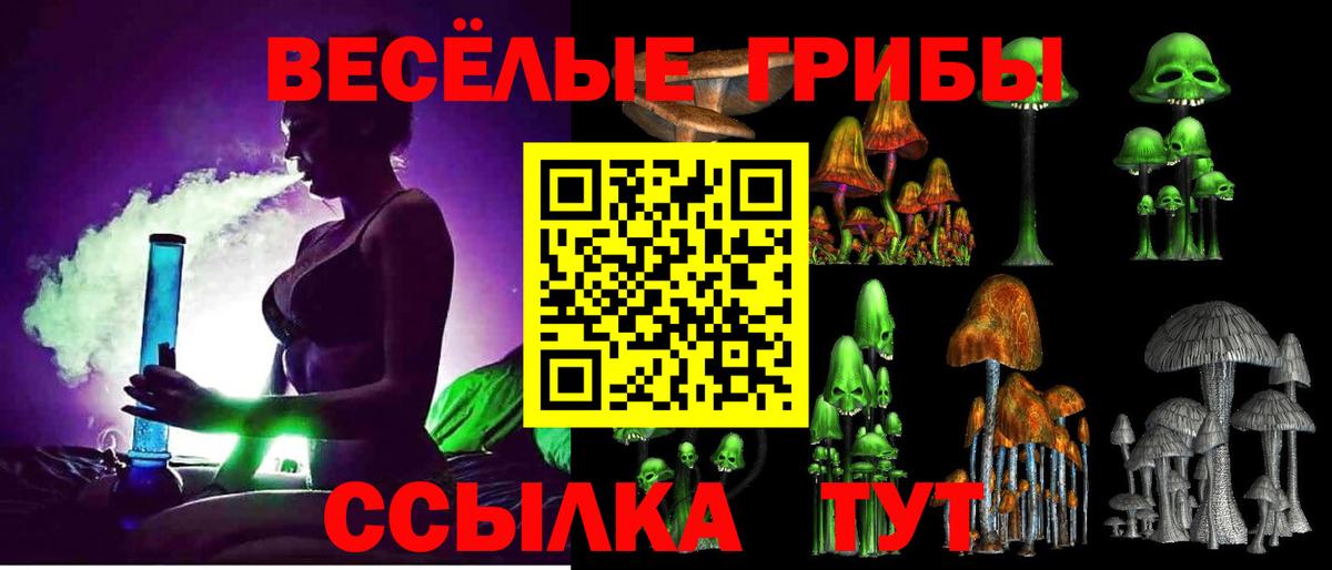 Псилоцибиновые грибы GOLDEN TEACHER Удомля